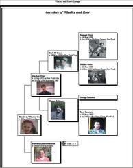 Free family tree maker 2005 starter edition